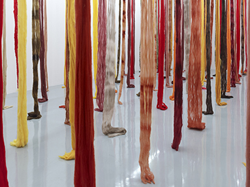 images/manifestation/Vicuna-1-5-web.jpg