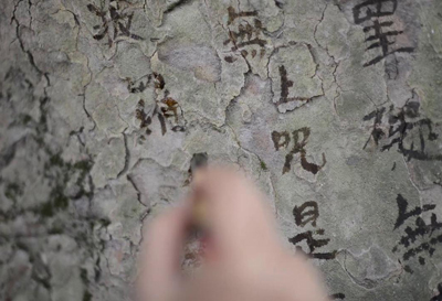 images/manifestation/tsai-1-3-web.jpg