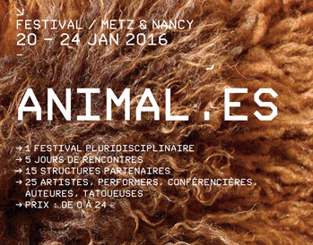 images/manifestation/Animales-web.jpg