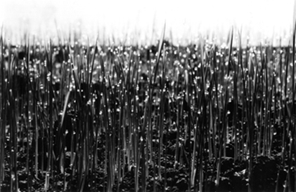 images/manifestation/Denes1-3-web.jpg