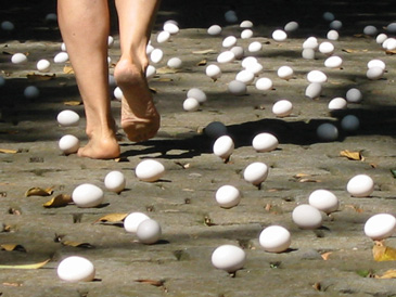 images/manifestation/Entrevidas-web.jpg