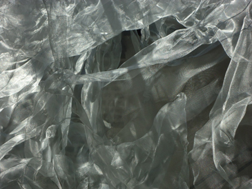 images/manifestation/Friedman2-web.jpg