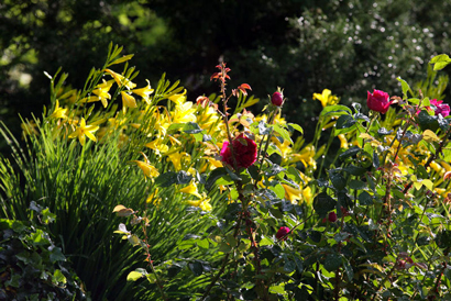 images/manifestation/Metz-Jardin-BotaniqueWeb.jpg