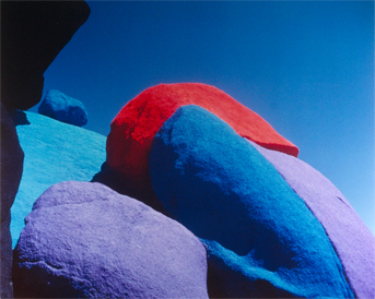 images/manifestation/Verame1-web.jpg