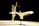 Light Bird, Luc Petton