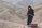 Saadeh