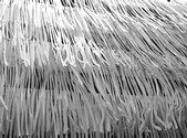 event.image_set.all.0.name