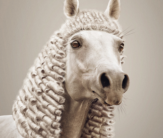 images/manifestation/cheval-WEB.jpg