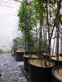 images/manifestation/jardin-2015-web.jpg