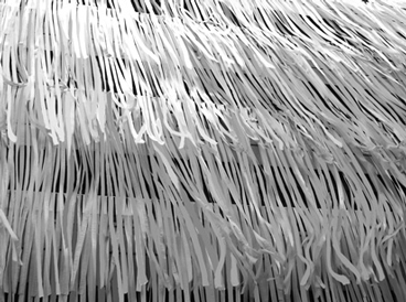 images/manifestation/pettena-detail-web.jpg