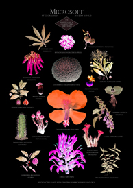 images/manifestation/treister-1-10-web.jpg