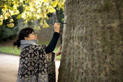 images/manifestation/tsai-1-2-web.jpg