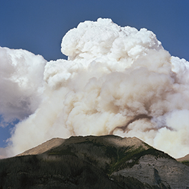 images/manifestation/Forest_fires_The_rockies_Canada_2017WEB.jpg
