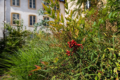 images/manifestation/jardin_c_Fred_Dott_pour_site.jpg